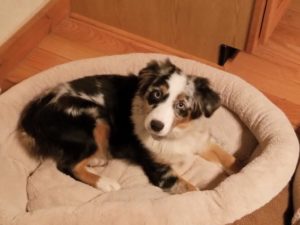 Lilian_20171216_195229