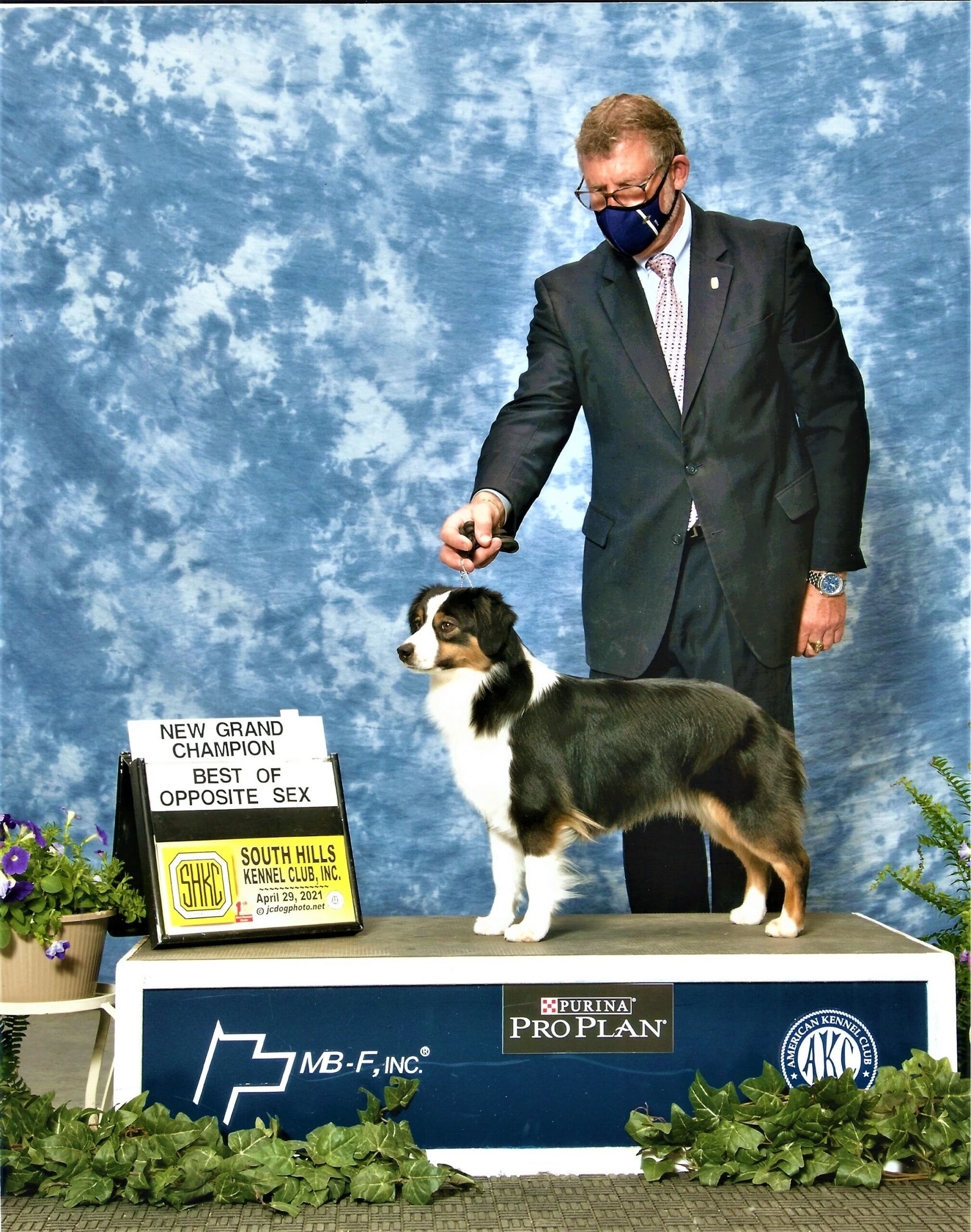 Mercedes Grand Champion-Edited Mercedes Grand Champion-Edited